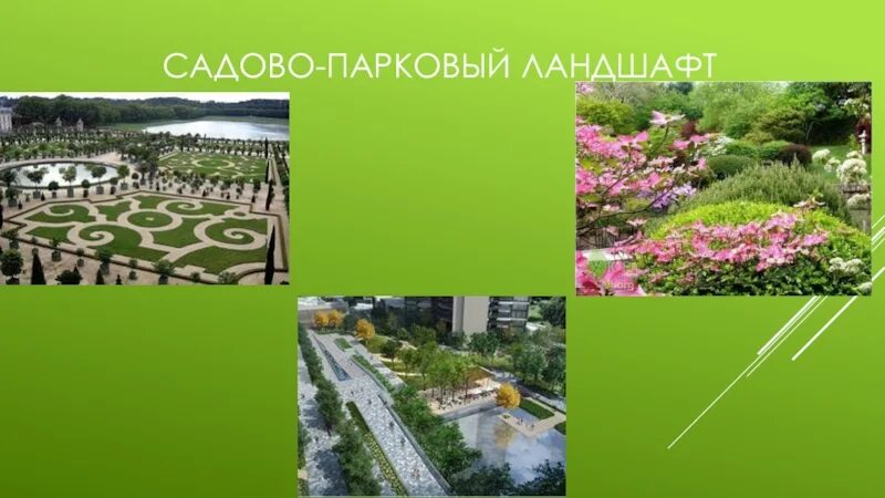 Объекты садово паркового и ландшафтного строительства. Городской культурный ландшафт. Культурный ландшафт города. Культурные ландшафты презентация.