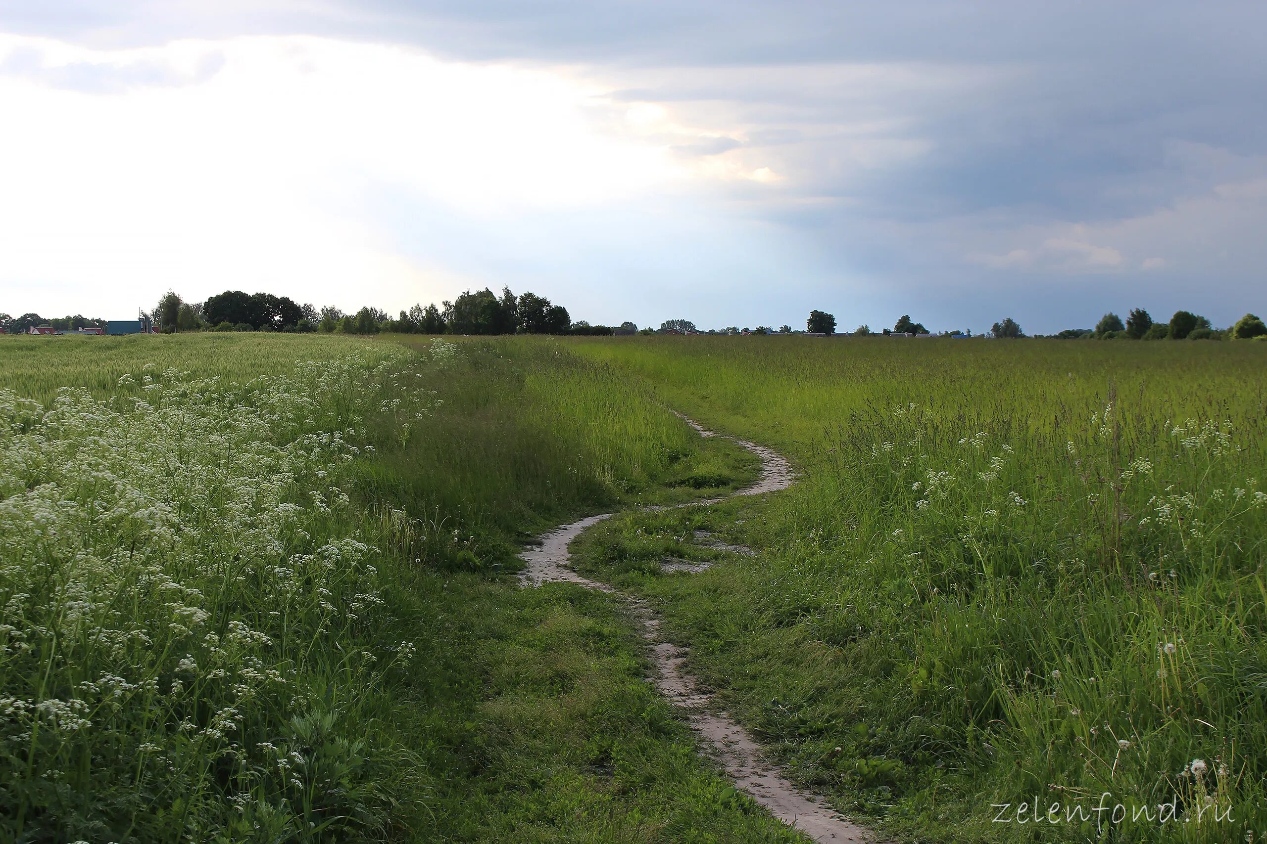 Дорога рамешковского района. Деревня высокое. Деревня высокое. Высокое вилладж смоленск. Деревня высокая вологодская область.
