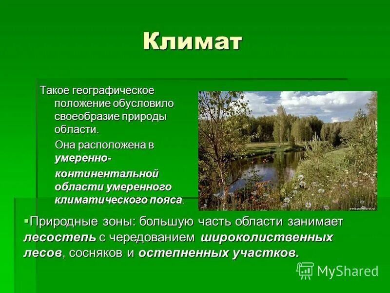 Смешанные леса климатические условия. Климат Ульяновской области. Географическое положение и климат широколиственных лесов. Климат для презентации. Природные зоны Ульяновской области.