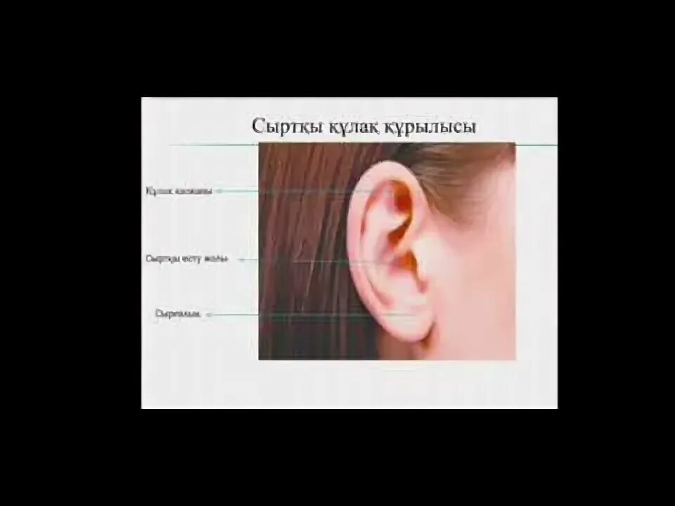 Есту места. Есту места