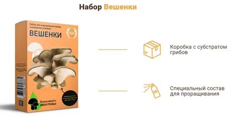 Грибы для похудения