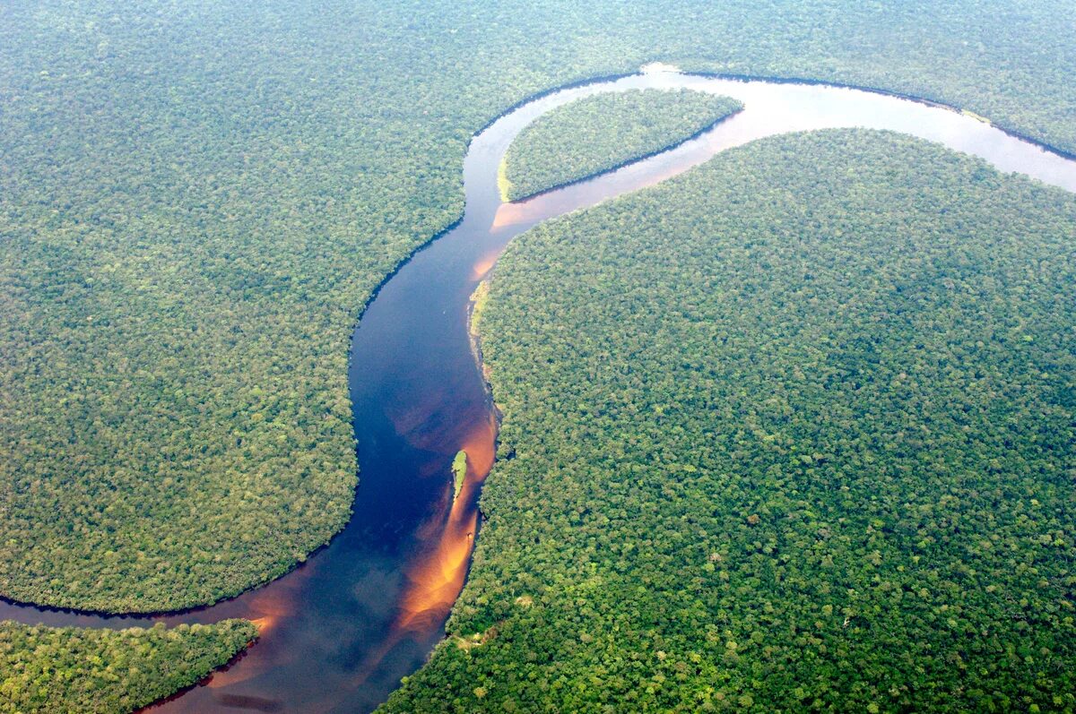 Река конго какой бассейн. Река Конго. Река Конго в Африке. Впадина Конго. Эстуарий реки Конго.