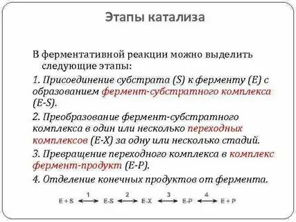 Ферментативная