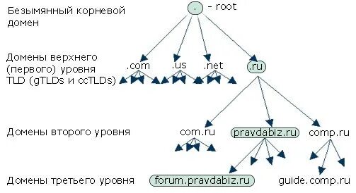 Сильнейший второго уровня. Уровни доменных имен. домен второго уровня. иерархия доменных имен. иерархия доменных имен сети интернет.
