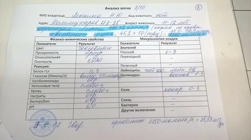 Уробилиноиды норма. Уробилиноиды в моче у женщин. Общий анализ мочи с микроскопией осадка. Уробилиноиды норма в моче в мкмоль/л.