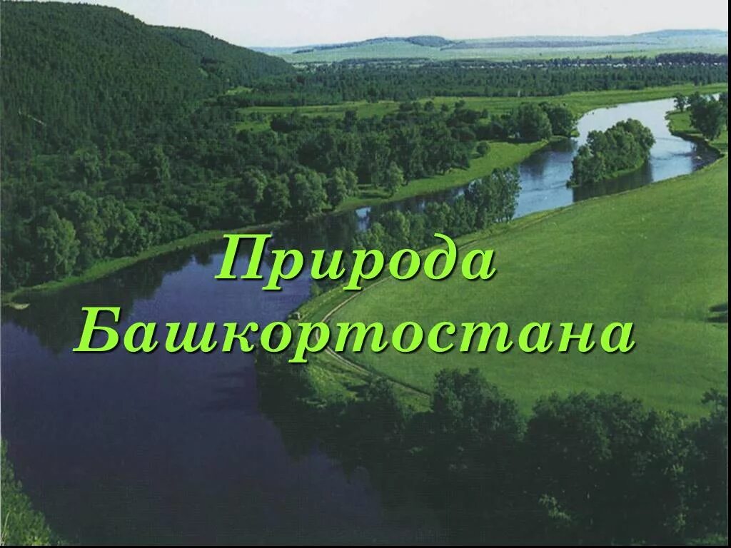 Разнообразие природы родного края башкортостан. Проект природа башкортостана 3 класс. природа башкортостана презентация. доклад на тему природа башкортостана. презентация на тему природа башкортостана.