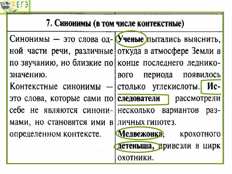 Синоним слова став. Контекстные синонимы примеры. Контекстные синонимы примеры предложений. Контекстуальные синонимы примеры. Контекстные слова примеры.