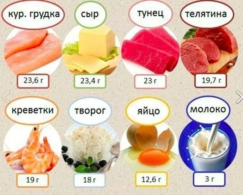 Где содержится белок в каких. Еда с большим содержанием белка. какие продукты содержат белок. где содержится много белка. продукты с высоким содержанием белка.