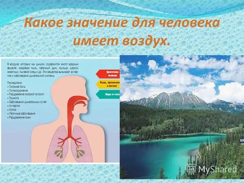 Значение воздуха в природе и жизни человека. Значение воздуха для селовек. Значение воздуха для растений животных и человека. Значение воздуха. Значение чистого воздуха для детского организма.