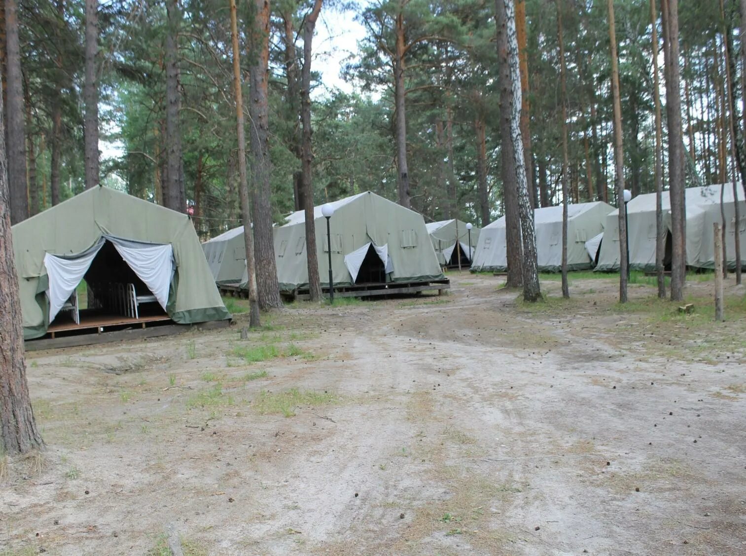 Camp name. Палаточный лагерь Олега Кошевого. Лагерь Олега Кошевого Тюмень палаточный. Серебряный Бор Тюмень палаточный лагерь. Палаточный лагерь серебряный Бор Олега Кошевого.