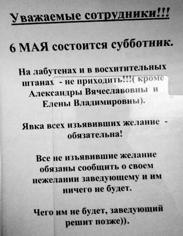 В лабутенах и штанах текст. Объявление о субботнике. Уважаемые сотрудники. Объявление о субботнике прикольное. Смешные объявления о субботнике.