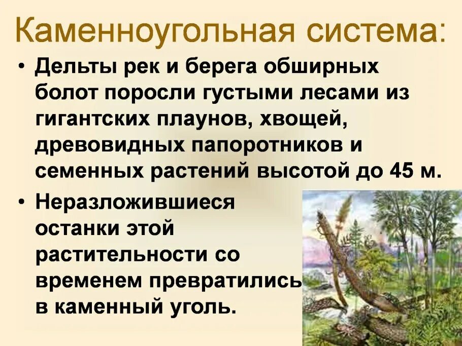 К чему привело появление растений. Происхождение растений.