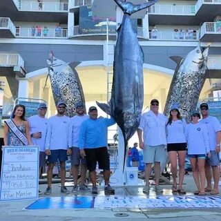 Blue marlin отзывы
