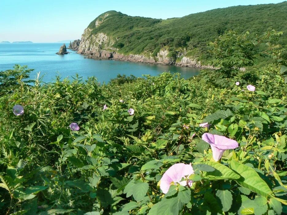 сахалинская область остров итуруп. сиамский залив индийский океан. бухта тихая сахалин. северный кипр природа. юг заливы.