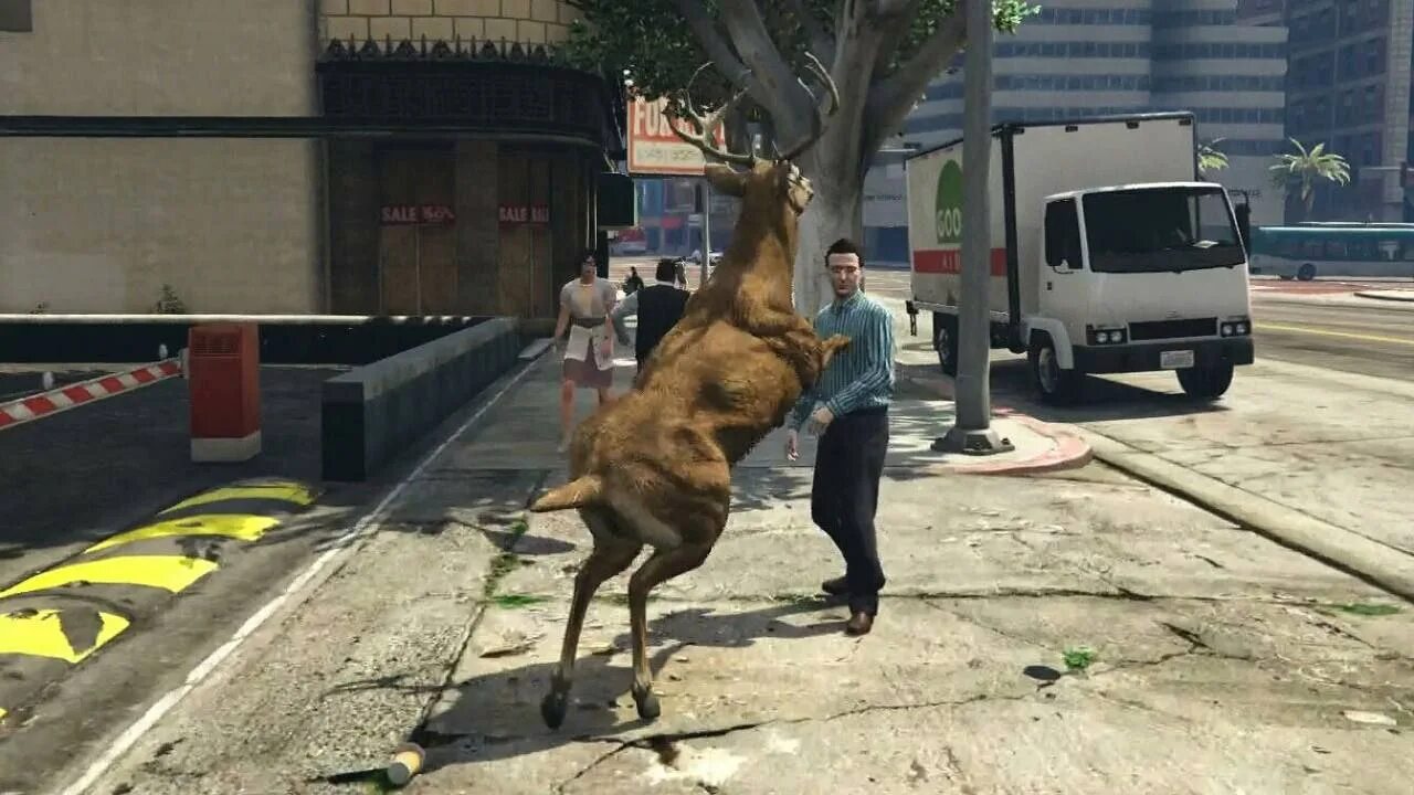 Steam コ ミ ュ ニ テ ィ :: ガ イ ド :: GTA 5 - Расположение Лофофор / Peyote Location ENG