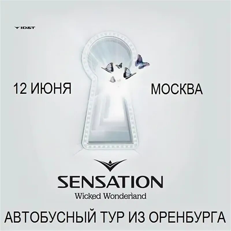 Сенсейшен в питере 2022. Табула сенсе. Sense центр на сухаревской. Сенсейшен москва. Sense москва.