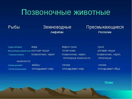 Среда пресмыкающихся