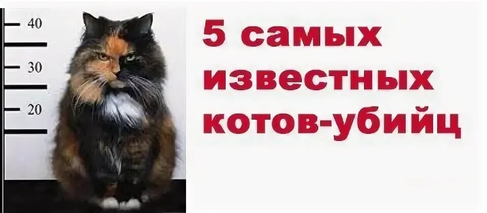 Режим убийцы
