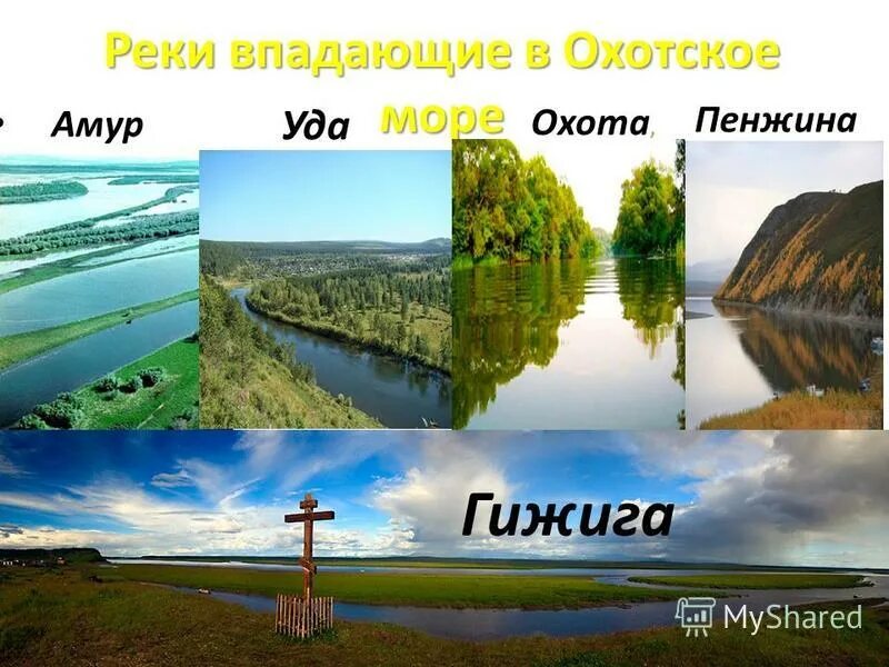 Реки впадающие в охотское море. Впадающие реки охотского моря. Впадающие реки охотского моря. Место впадения реки волги в каспийское море. Река амур впадает в охотское море.