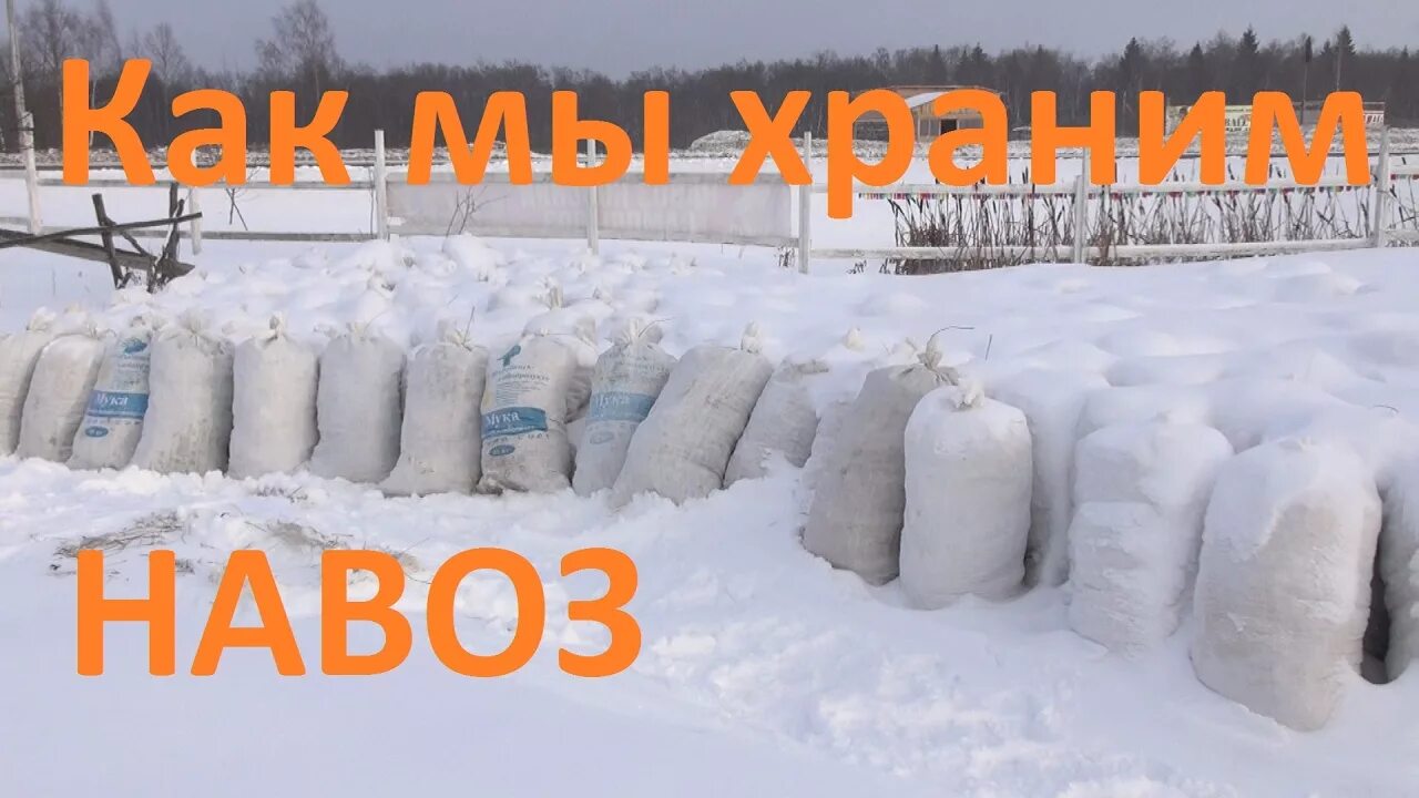 Как хранить насос зимой. Хранение навоза зимой. хранение навоза на участке зимой. хранение сена зимой. хранение куриного помета зимой.