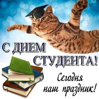 Поздравление родителям студента