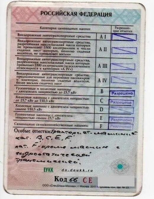 Мин какая категория. Мин какая категория. Категории в1 и с1 в водительском удостоверении. Категории в1 и с1 в водительском удостоверении. Мин какая категория.