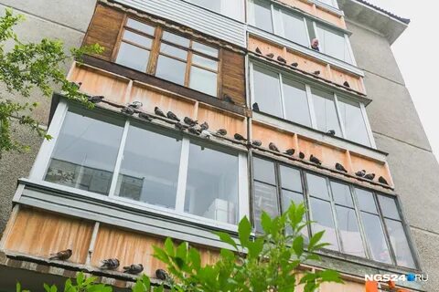 Хрущевки красноярск
