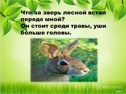 Предложения лес проснулся