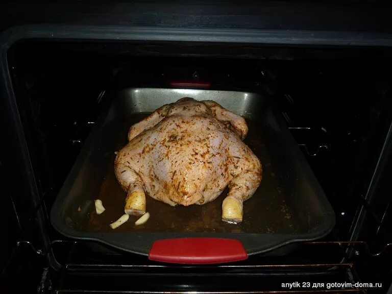 На каком режиме духовки запекать курицу. Курица в духовке. Курица в электрической духовке. Огромная курица в духовке. Курица в духовке прожаренная.
