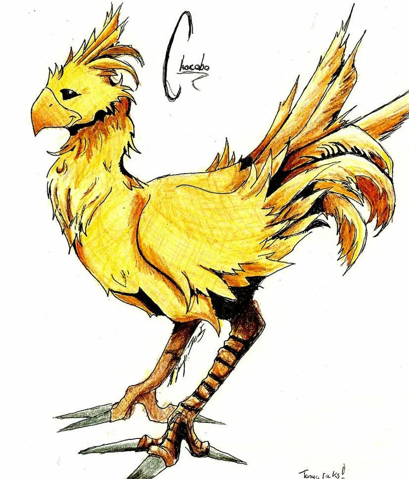 Final fantasy чокобо. Чокобо. чокобо final fantasy. чокобо final fantasy 15. птица чокобо.