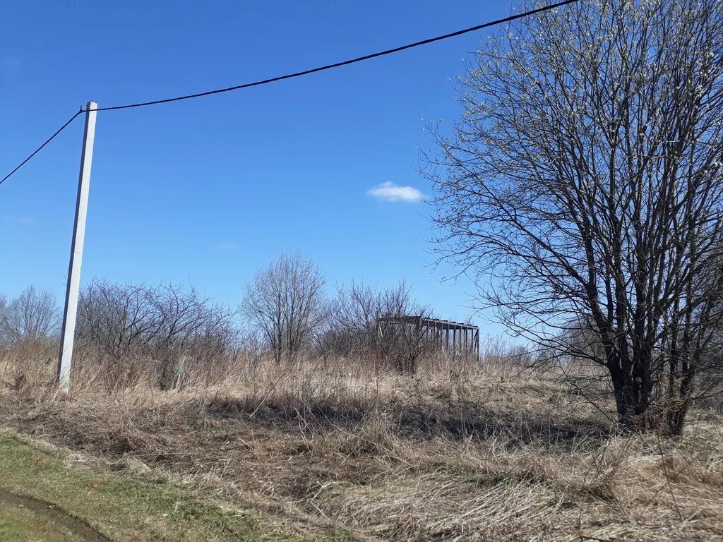 Село чернушка. Рябки пермский край. Погода ананьино пермский край. Село чернушка. Погода ананьино пермский край.