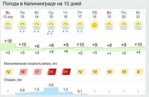 Погода в калининграде в ноябре 2024 какая