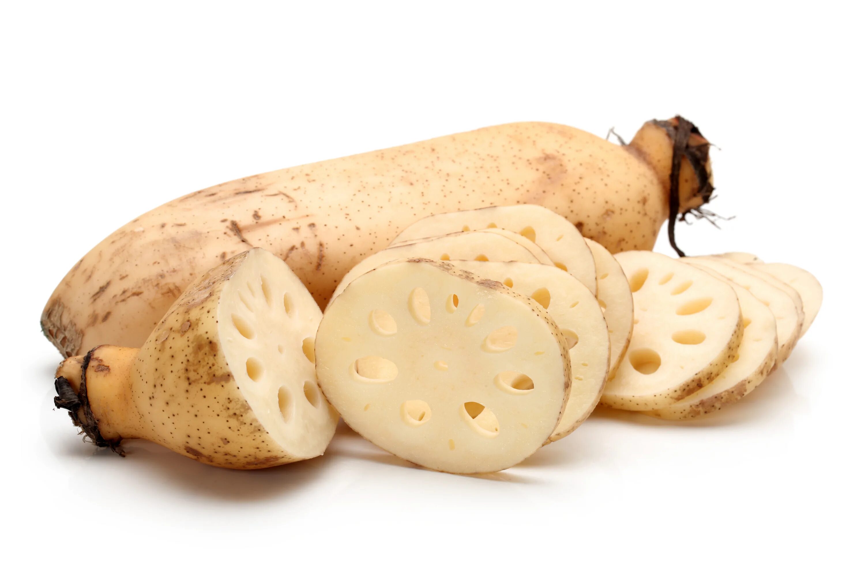 Рэнкон: корень лотоса. Рэнкон: корень лотоса. Корень лотоса. Корни лотоса китай. Корень лотоса.