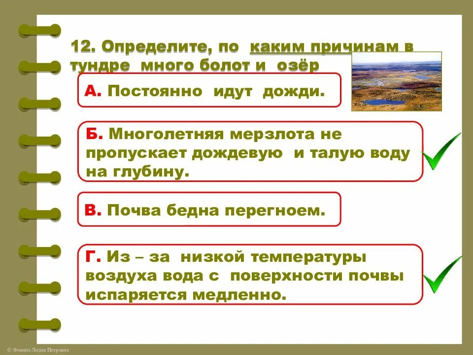 Окружающий мир контрольная по природным зонам. Почему в тундре много болот и озер. Почему в тундре много болот 4 класс. Почему в тундре много болот. Задания по теме природные зоны.