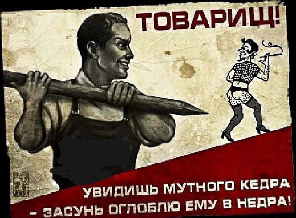 Держал плакат долой режим. Смешные плакаты. Товарищ увидишь мутного кедра. Советские плакаты. Плакат против мужеложства.