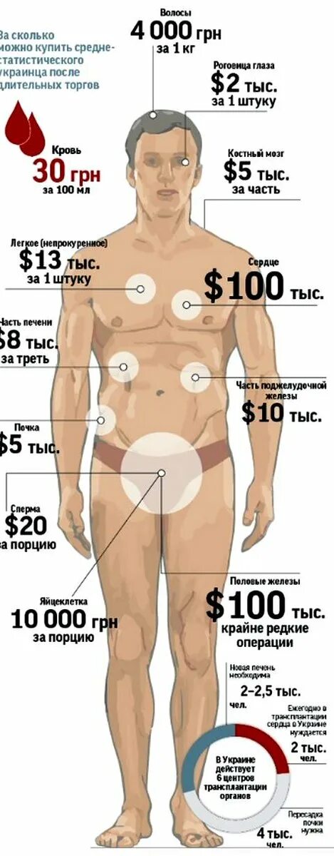 Продажа органов человека. Сколько стоят органы. Сколько стоят органы человека. Цена человеческих органов на черном рынке. Колько сточт органы человека.
