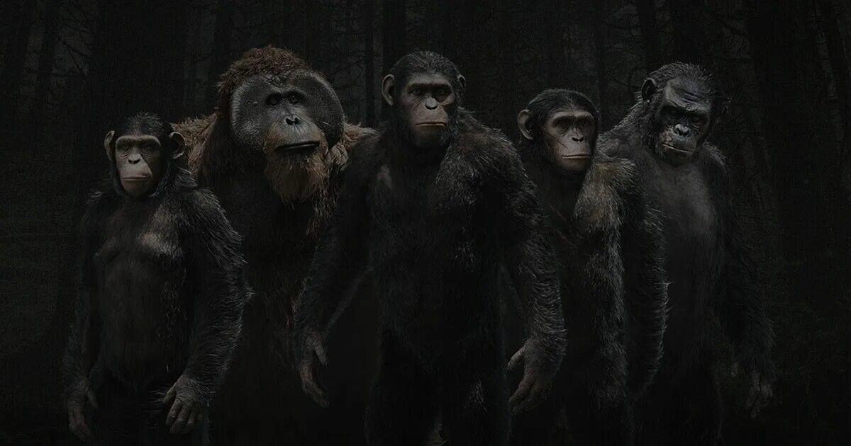 Новые легенды обезьяны. Планета обезьян революция. Восстание планеты обезьян 2.