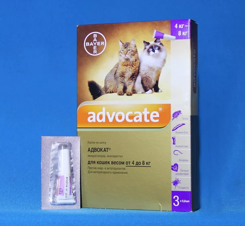 Адвокат кошки до 4. Адвокат капли для котят. Advocate Bayer для кошек. Адвокат: капли для кошек от паразитов. Капли на холку адвокат для кошек 4 - 8 кг 3 пипетки.