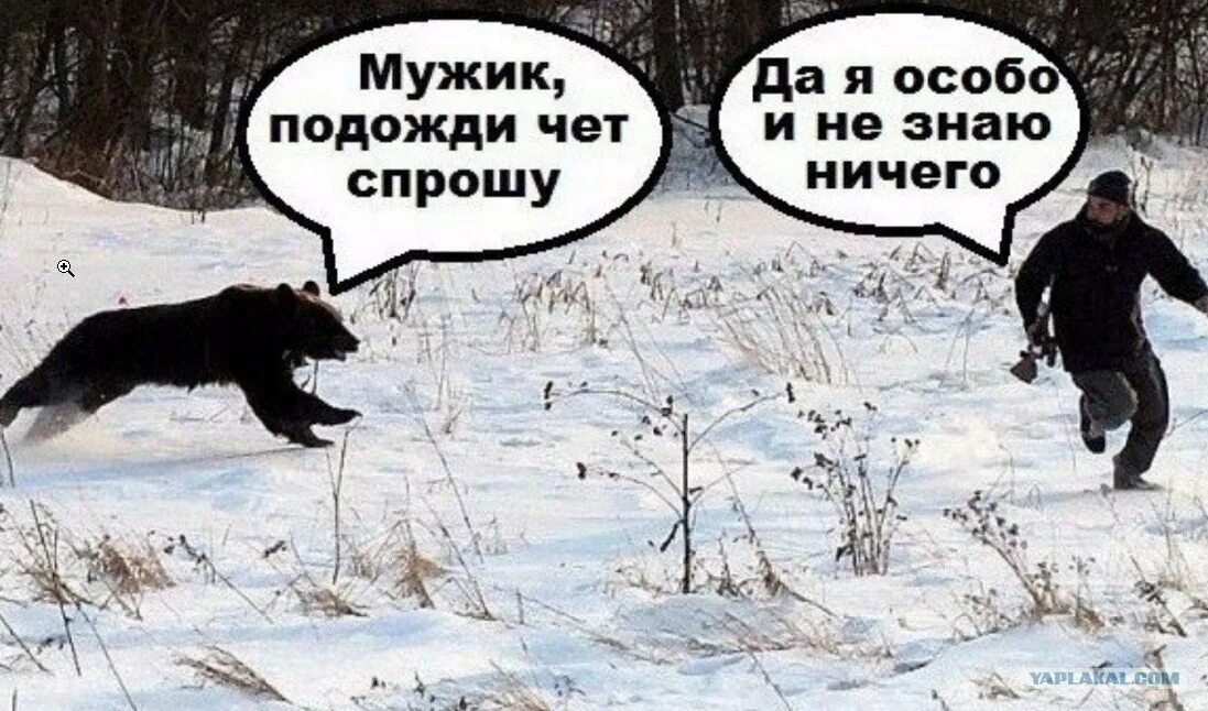 Я просто точно не знаю. Да я особо и не знаю ниче. погоди че спрошу да я особо ничего и не знаю. да я особо и не знаю ничего медведь. подожди чет спрошу я особо и не знаю.