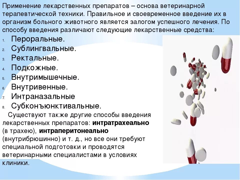 Путь лекарственного препарата