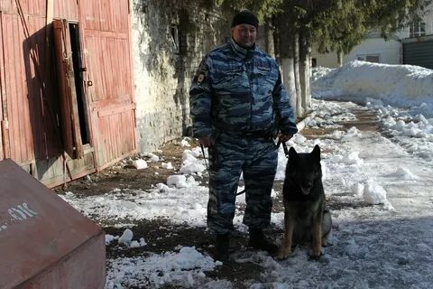 Кинолог уфа