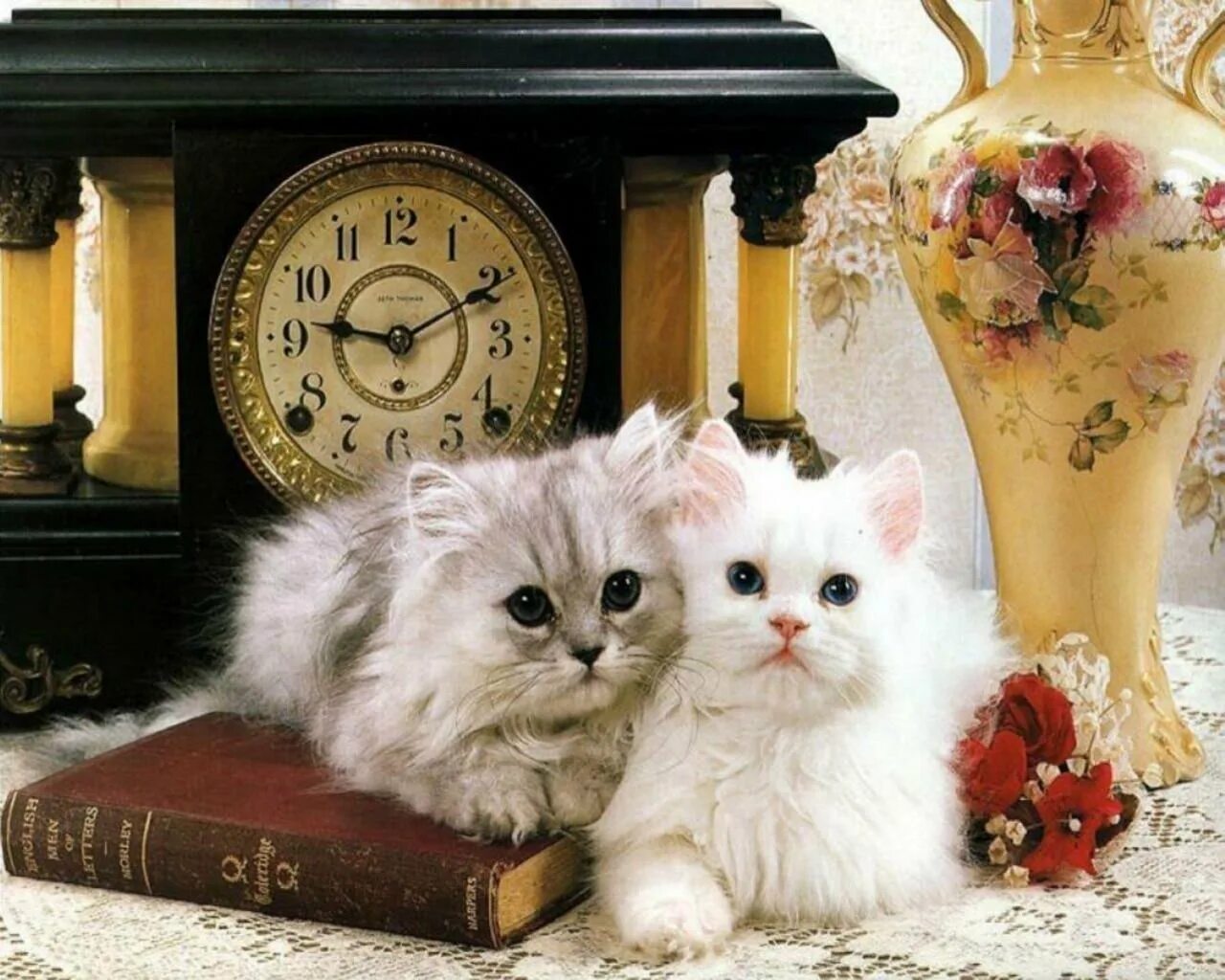 Добрый вечер картинки пожелания с животными. Добрый вечер с котиками. добрый вечер с кошками. добрый вечер с животными. добрый вечер с котятами.