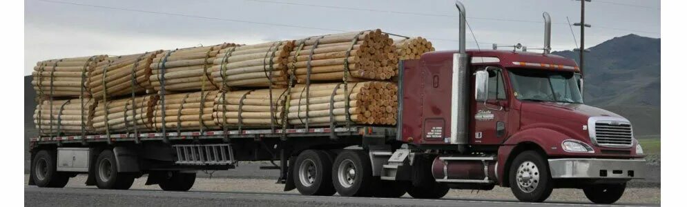 Перевозка строительных грузов. Фура для перевозки кругляка. Перевозка строительных материалов. Транспорт для перевозки деревьев.