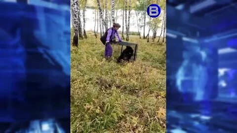 Спас от гибели