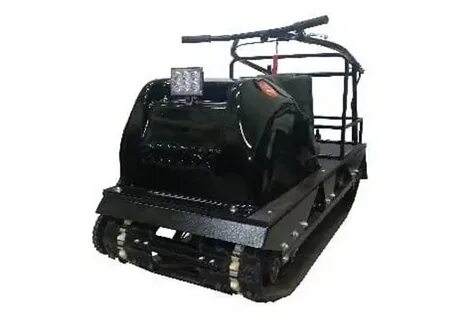 Паксус