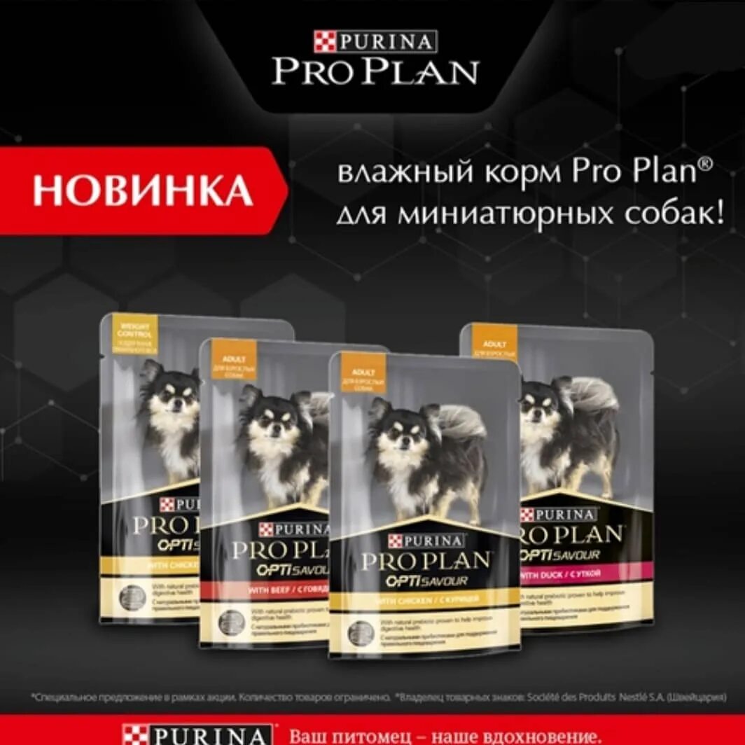 Проплан для собак мелких пород влажный. Проплан паучи для собак. проплан для щенков пауч. пауч для собак мелких пород проплан. паучи проплан для собак акция.