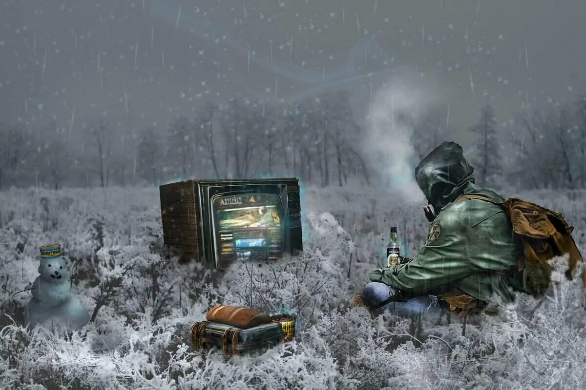 Stalker winter