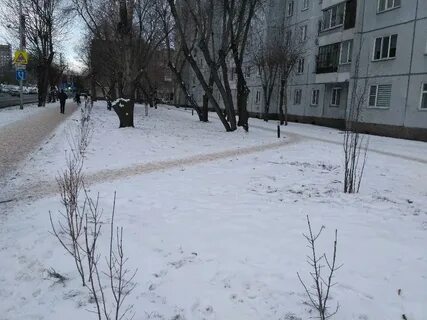 Красноярский прогноз