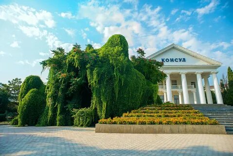 Парк токи