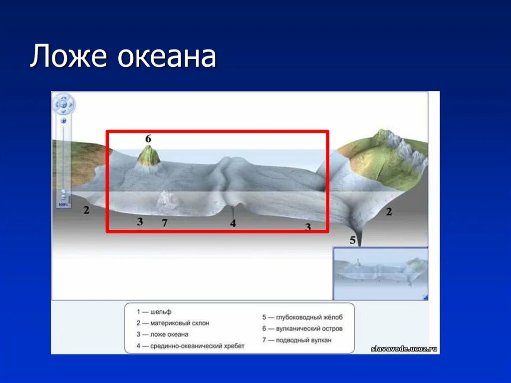 Широкий шельф. Шельф материковый склон ложе океана. ложе океана. ложе океана это в географии. океаническое ложе.